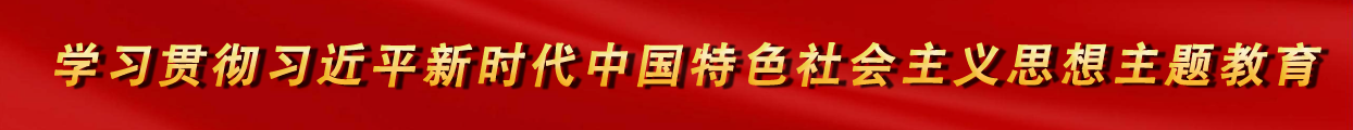 学习贯彻习近平新时代中国特色社会主义思想主题教育